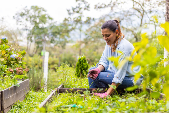 woman sitting in her vegetable garden weeding and cleaning