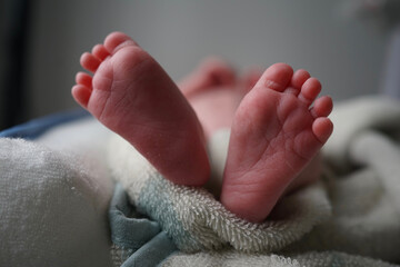 Close up of tiny newborn baby feet and toes   