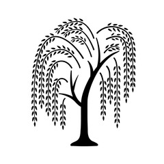 Willow tree. Black icon with tree. Vector illustration isolated on white background. Element for logo - obrazy, fototapety, plakaty
