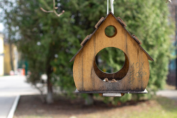 A bird house. Feeding place of migratory birds.