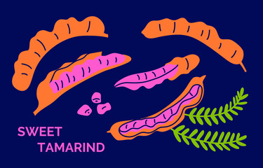 Sweet tamarind set. Exotic fruit icons. Vector illustration, collection of torpid fruit on a dark background