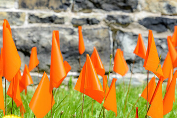 Small orange flags places in grass in memory of the thousands of Indigenous children that died in Canada's residential school system. Close view.
