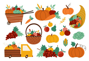 Autumn harvest set. Vector farm vegetables, fruit and berry collection with pumpkins, carrot, apple, cabbage, corn, pear, grapes. Funny fall illustration with basket, truck, wheelbarrow, cornucopia - obrazy, fototapety, plakaty
