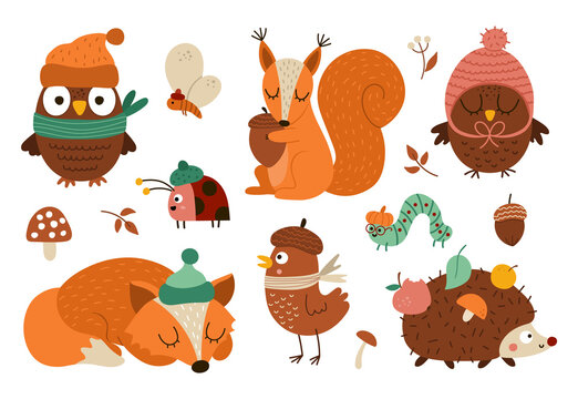 Vector Autumn forest animals and insects set. Cute hedgehog, squirrel, fox, bird, owl in hats and scarves. Vector fall or Thanksgiving characters collection. Woodland icons pack