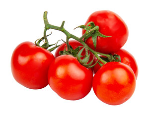 Red fresh tomatoes branch isolated on the white background