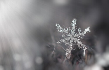 One little snowflake on a woolen scarf