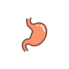 stomach icon vector illustration design