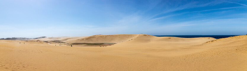 Fototapeta na wymiar Beautiful Panorama landscape Tottori Sand Dunes (Tottori Sakyu), located near the city of Tottori in Tottori Prefecture, in sunny day. They form the large dune system over 2.4 km in Sanin area, Japan