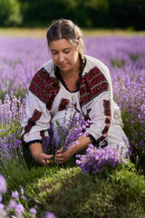 Young woman in Romanian folklore costume harvesting lavendere