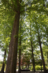 강원도립화목원