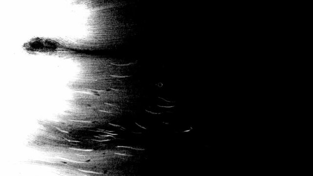 Ink drop on white black background footage, Ink footage