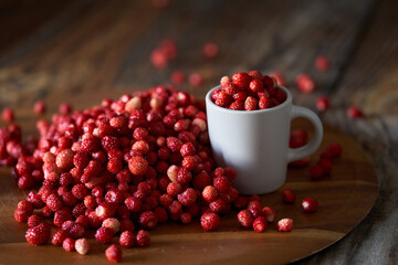 Wild strawberries in closeup