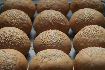 many baked sesame topping burger breads lay on oven tray waiting for cooking, shot with shallow focusing  for using as background wallpaper.