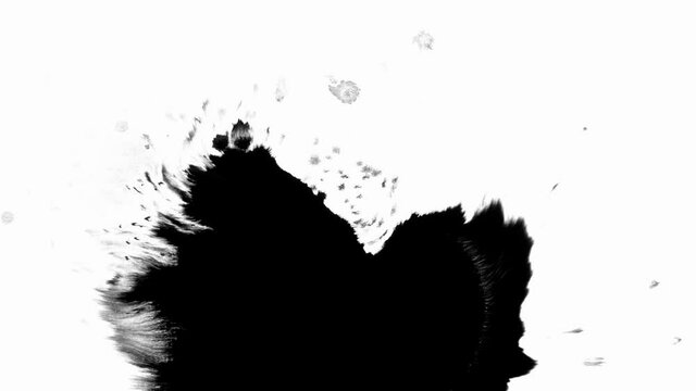 Ink drop on white black background footage, Ink footage