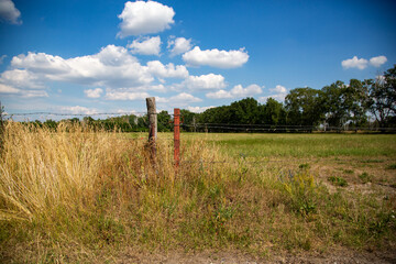 Zaun und Zaunpfal vor einem Feld auf der Altmark im Sommer, Sachsen-Anhalt, Deutschlanf