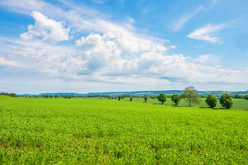 Green fields in a rural landscape with hills on the horizon