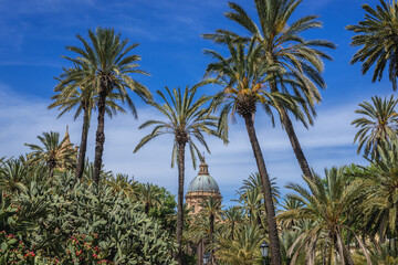 Fototapeta na wymiar Palms in Villa Bonanno park in Palermo, capital of Sicily Island, Italy - view with cathedral tower