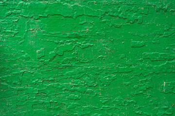 Green cement wall texture for background and copy space for text