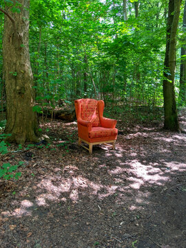 Lone Armchair in the Forest