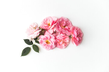 Fototapeta na wymiar Flowers composition made of pink roses isolated on white background. Floral design. Flat lay, top view, copy space