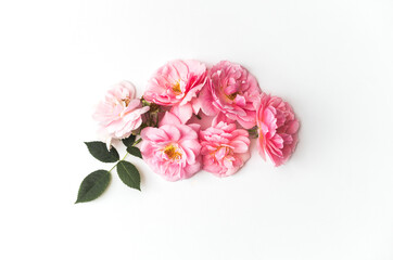 Fototapeta premium Flowers composition made of pink roses isolated on white background. Floral design. Flat lay, top view, copy space