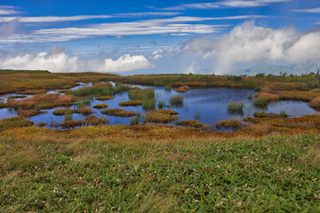 Mt.Hiragatake, early autumn 初秋の平ヶ岳トレッキング