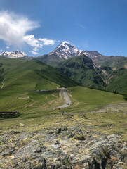 sheep on the mountain