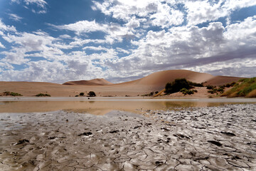 Very rare water in Sossusvlei.