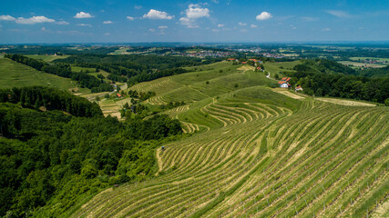 Aerial view from drone of countryside landscape with vineyards 
