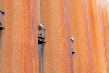 corrosion texture background orange color. rusty background.