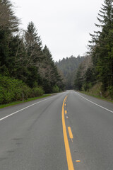 Fototapeta na wymiar roadway. oregon empty road. summer route. travel way with nobody. highway road among forest