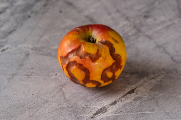 Apfel mit wurmbefall auf grauem Untergrund