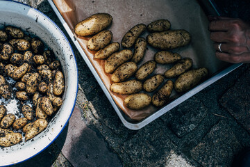 human hand cleaning fresh potatoes