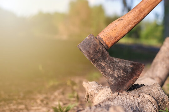 Old Hatchet Or Ax On Brown Log Wood In Forest Close-up.