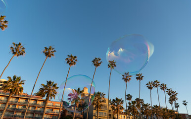 summer mood with soap bubble blower fly in blue sky among palm trees in summer near houses, bubble