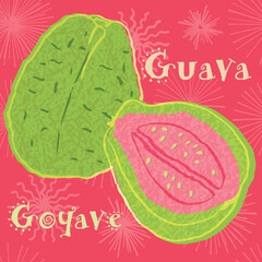 Guava fruit vector illustration. Colorful textured modern design.
