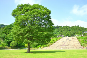 宮ケ瀬湖付近　神奈川県清川村付近の風景
