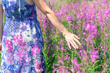 Woman's hand in a field of flowers on a hot summer day. Selective focus. Close-up