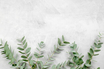 Eucalyptus sprigs on a concrete background with place for text. Blank space for text or product advertisement