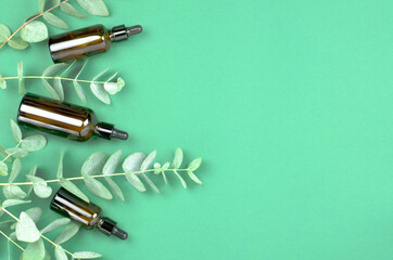 Fototapeta premium Bottles with eucalyptus oil and eucalyptus sprigs on a green background. Natural cosmetic products