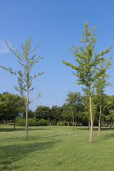 남양주 물의 정원