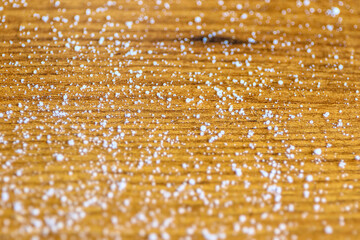 Blur and depth of field on Textured wooden background with salt granules on it.