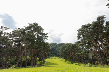 신숭겸장군 묘역