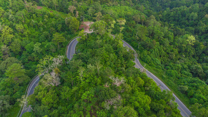 A view of the tropical rainforest in Aceh Indonesia