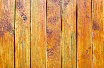 Naklejka premium Nature wood textured wallpaper background