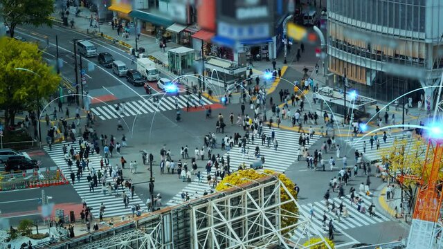 社会ネットワーク