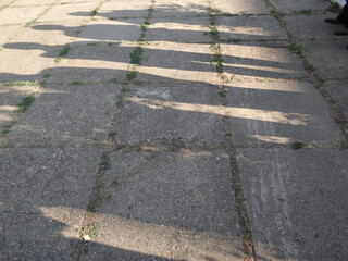 crossing in the park