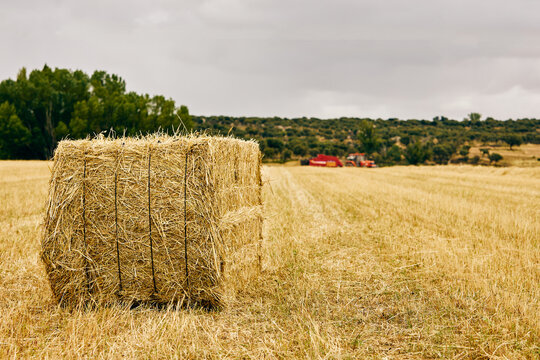 Tractor and haystack on field
