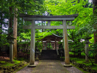 Stone torii gate and lanterns (Yahiko shrine, Yahiko, Niigata, Japan)