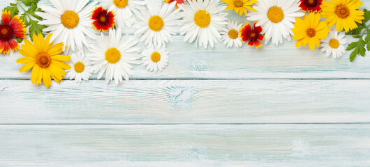Chamomile flowers background. Garden daisy